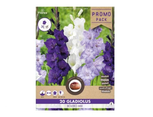 Směs PROMO Gladioly velkokvěté BOLERO 20ks