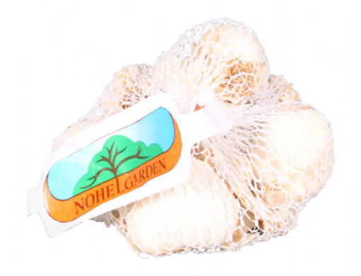 Sadbový česnek Flavor - jarní 500g 5-7ks v bal