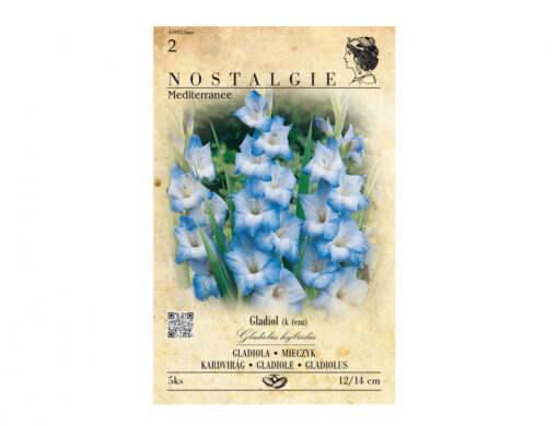 Gladiolus Blue Frost 5ks