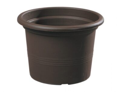 Květ CAMPANULA d34x24h/PK/hnědý