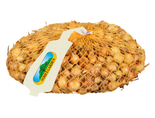 Cibule sazečka ŠTUTGART 1000g