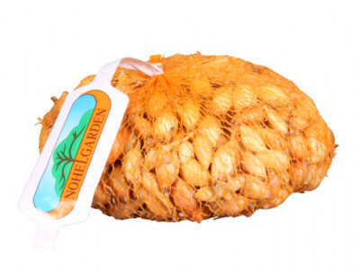 Cibule sazečka CORRADO F1 500g