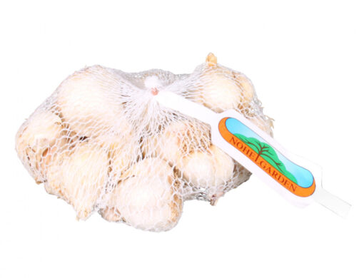 Česnek sadbový MESSIDROME WHITE velmi plenný 250g