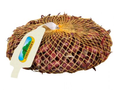 Cibule sazečka ROMY 500g