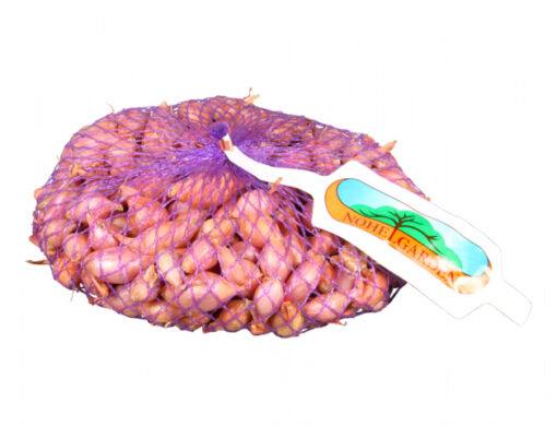 Cibule sazečka ROSANNA růžová 250g