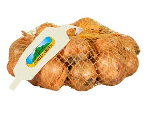 Cibule šalotka RED SUN 250g