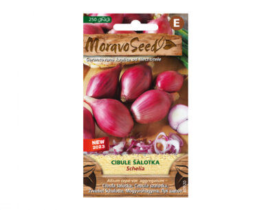 Cibule j.červ. SCHELIA/šalotka 60920