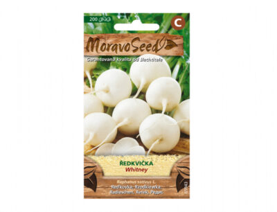 Ředkvička bílá WHITNEY kulatá 65943