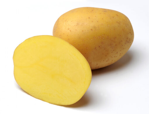 Sadbové brambory ANUSCHKA - žluté velmi rané 1kg