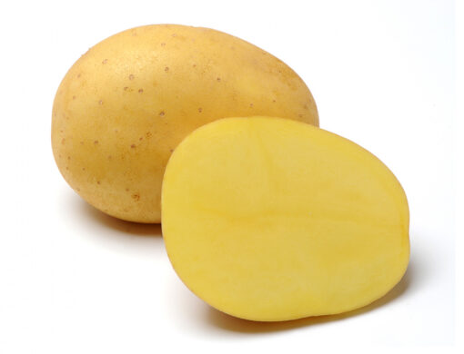 Sadbové brambory BELANA - žluté,rané 1 kg