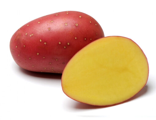 Sadbové brambory LAURA - červené polorané 1kg