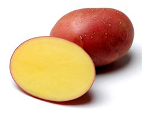 Sadbové brambory RED SONIA - červené velmi rané 1kg