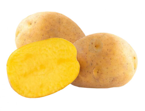 Sadbové brambory SUNITA - žluté velmi rané 1kg