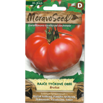 Rajče tyč/obří/čer