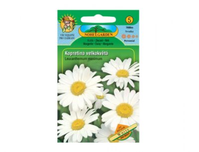Leucanthemum/kopretina