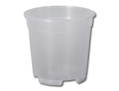 Květ. na orchideje CAMBRIA d21cm/transparentní