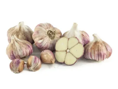 Česnek sadbový paličák Karel IV 250g