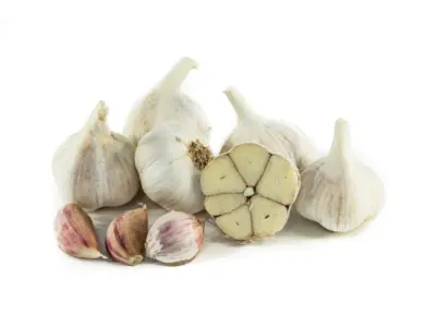 Česnek sadbový paličák Dukát 100g vážený