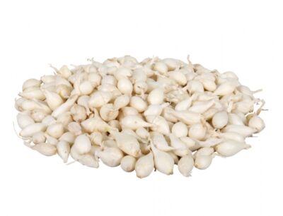 Cibule sazečka SNOWBALL 100g vážená