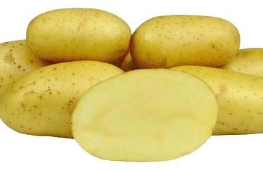 Sadbové brambory COLETTE - žluté polo rané 1kg