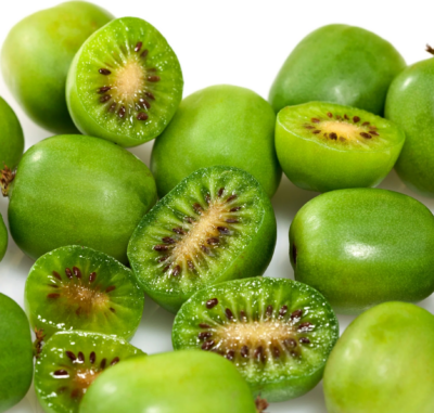 Actinidia rufa x Actinidia arguta ISSAI K11