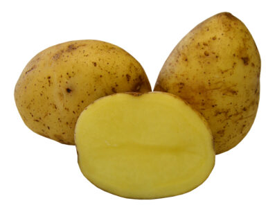 Sadbové brambory KATY - žluté velmi rané varný typ B 1kg