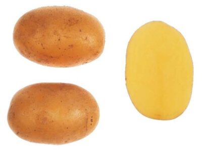 Sadbové brambory DOMINIKA - žluté, polorané, varný typ A 1kg